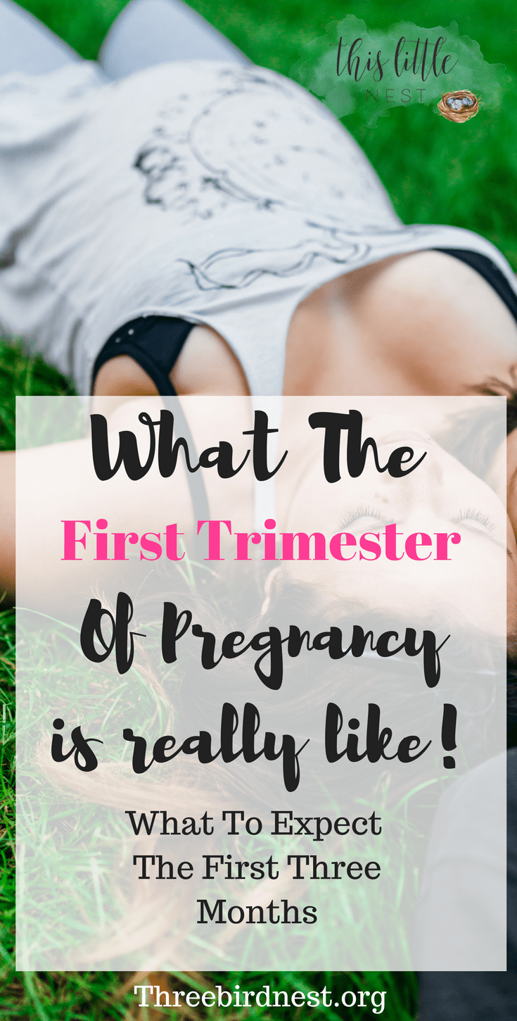 What to expect during the first trimester of pregnancy