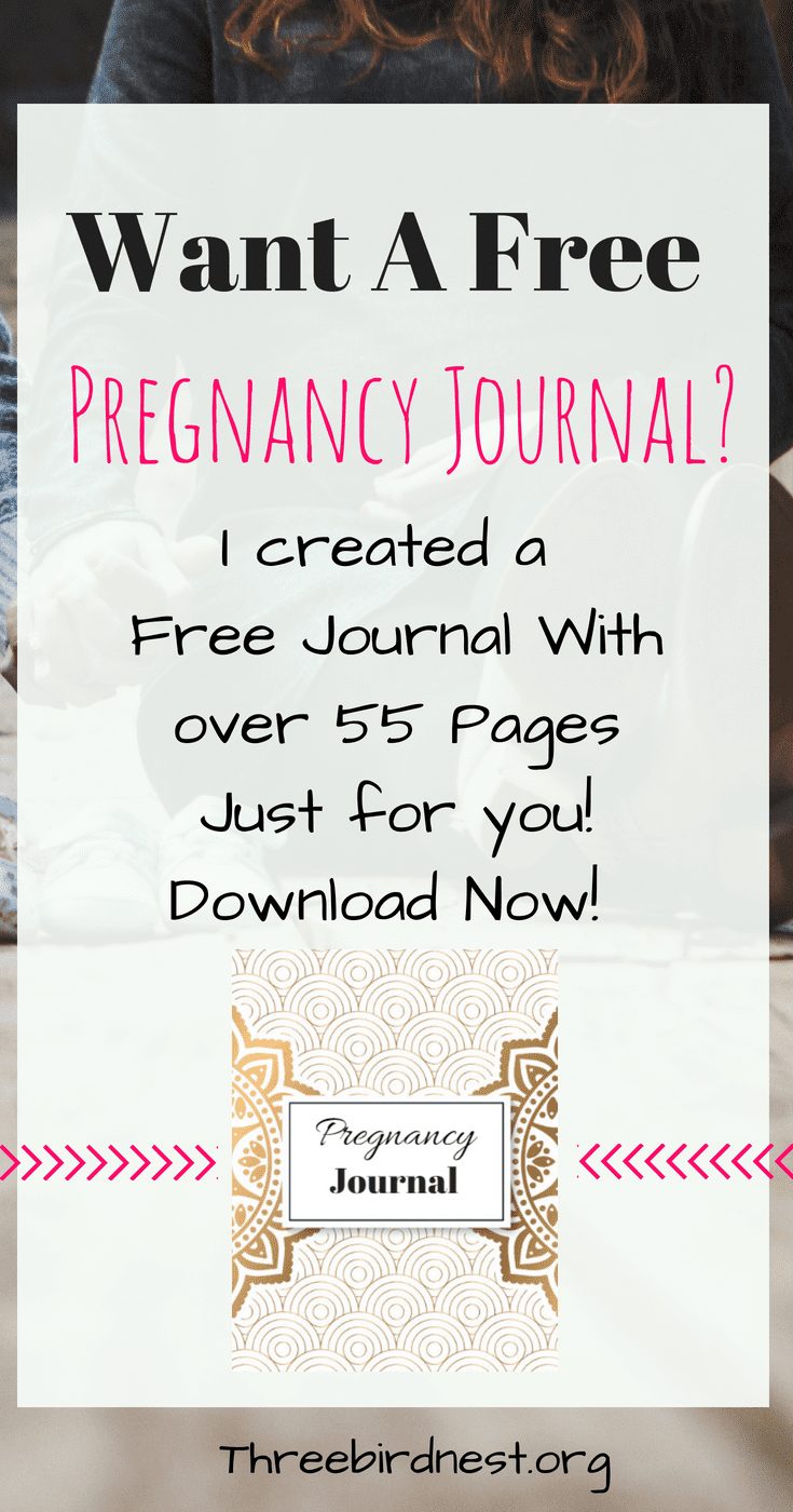 Pregnancy Journal Free Download