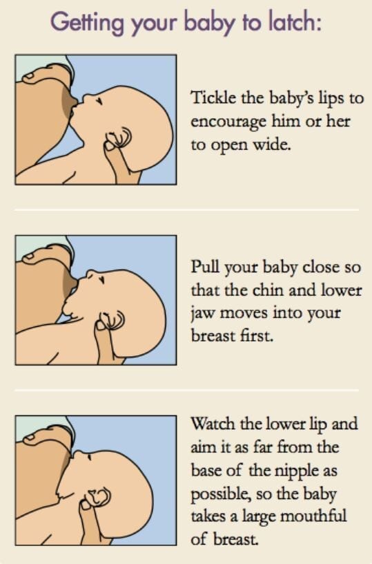 How to latch your baby during breastfeeding 
