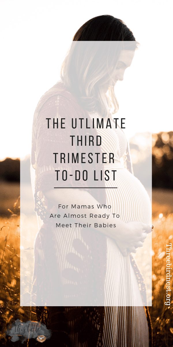 The ultimate third trimester to do list #pregnancy #thirdtrimester #secondtrimester #pregnant #childbirth #pregnancytodolist #thirdtrimestertodolist 