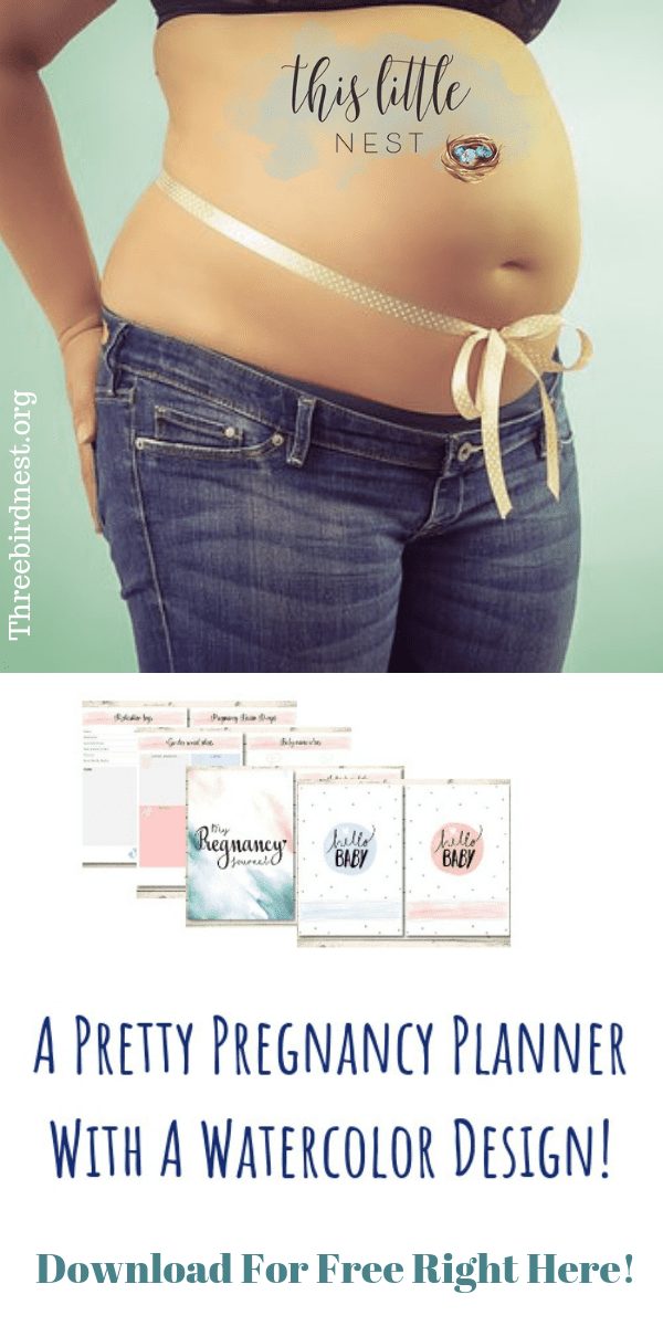 Free Pregnancy Journal #pregnancy #free #freedownload #freepregnancyjournal
