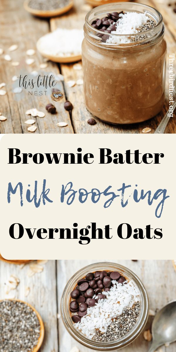 brownie batter overnight oats, Lactation recipes #lactationrecipes #milksupply #overnightoats, #breastfeedingrecipes