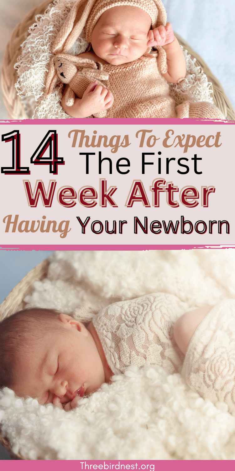 What to expect after having your newborn 