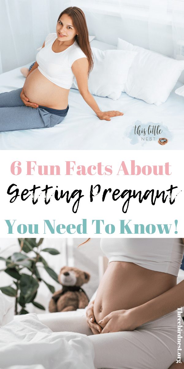 6 fun facts about trying to get pregnant #ttc #pregnancy #tryingtogetpregnant