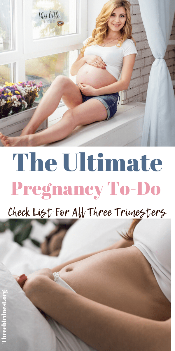 ultimate to do pregnancy list