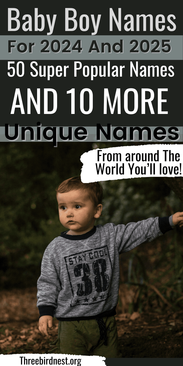 50 Popular Boy Names For 2024 And 2025 And 10 Newer Names Gaining