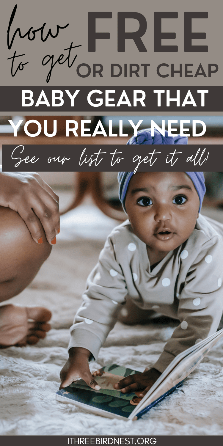 Dirt Cheap Baby Gear A Guide to Accessing Free and Inexpensive Baby