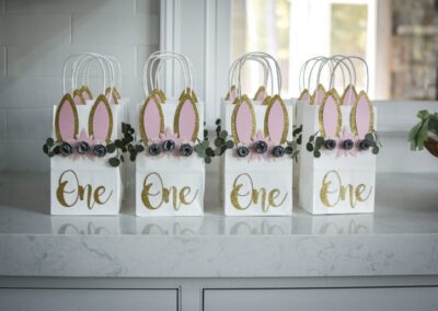 Peter Rabbit Themed Birthday