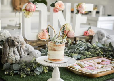 Peter Rabbit Themed Birthday