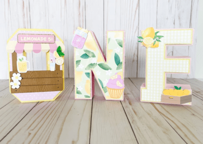 Pink Lemonade 1st birthday