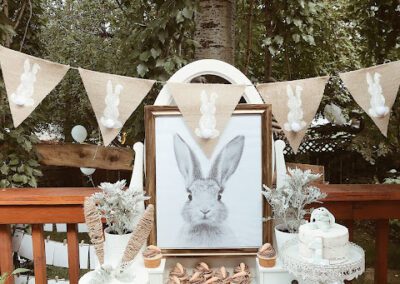 Peter Rabbit Themed Birthday