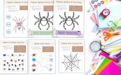 Kids 10 Page Spring Spider Printable- Discover the Fascinating World of Spiders