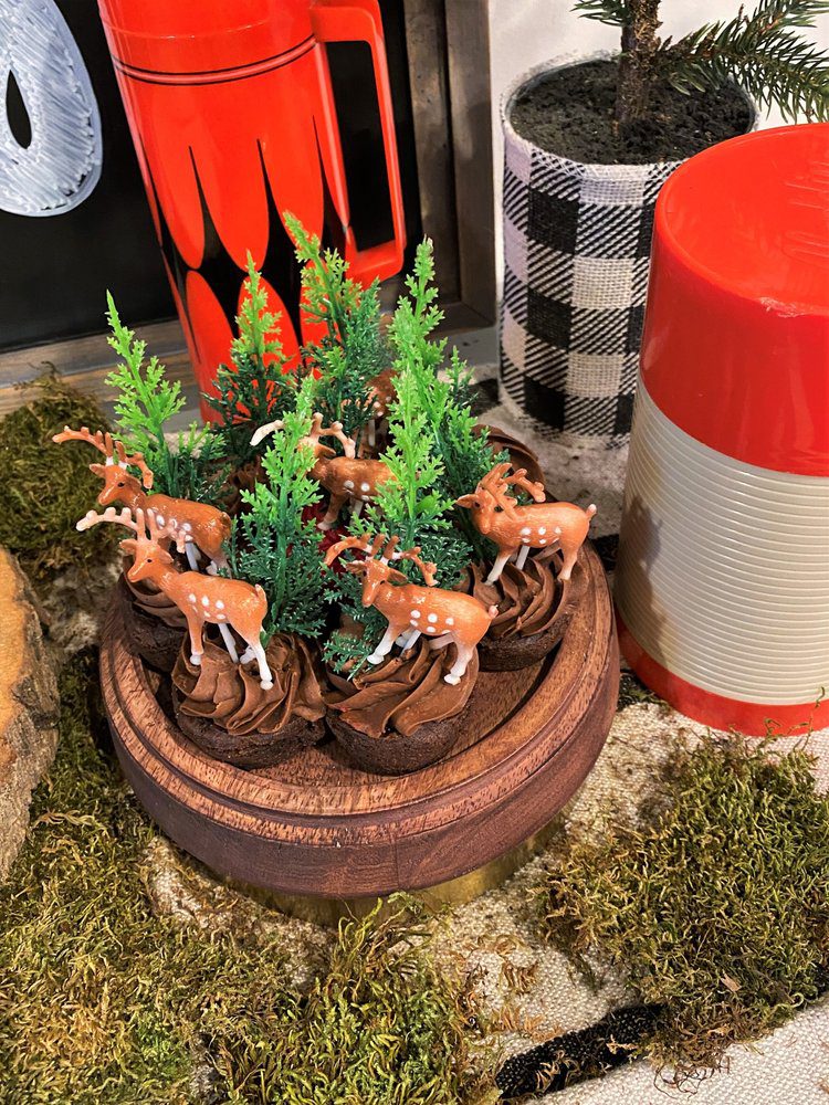 happy camper birthday party theme