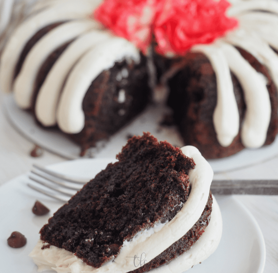 Chocolate Chocolate Chip Nothing Bundt Cake Copycat Recipe •