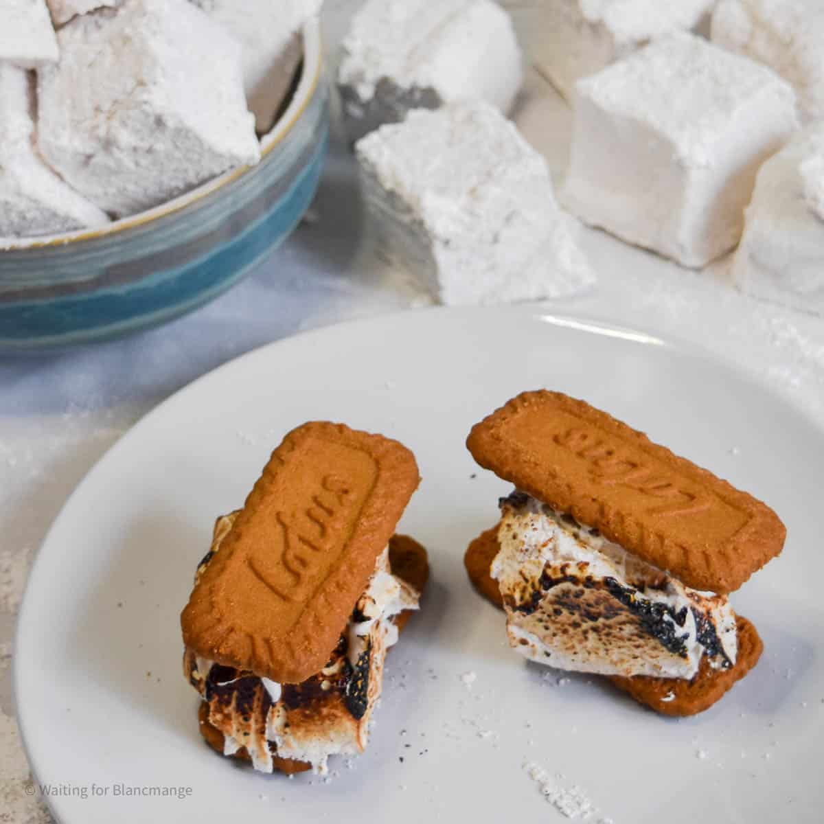pumpkin-spice-smores