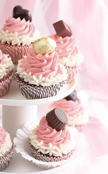 Sprinklebakesassortedchocolatescupcakes3
